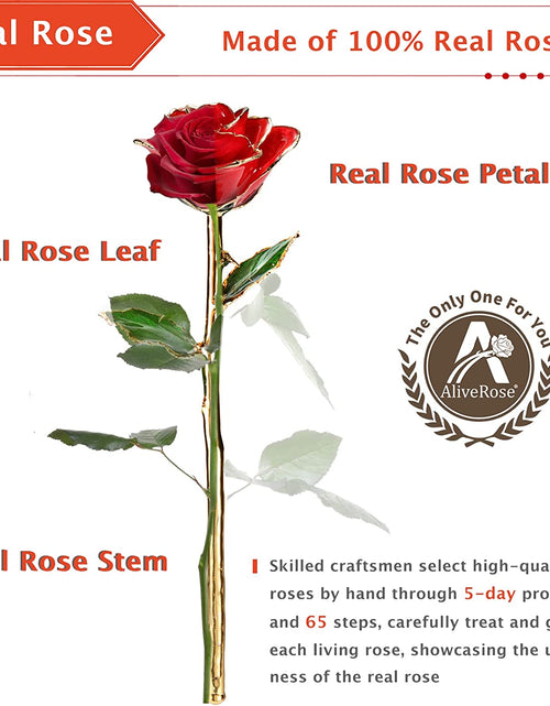 Load image into Gallery viewer, Valentines Day Gift, 24K Gold Dipped Real Rose Gift for Her and Great Valentines Gift for Her Rose(Red with Crystal Vase)
